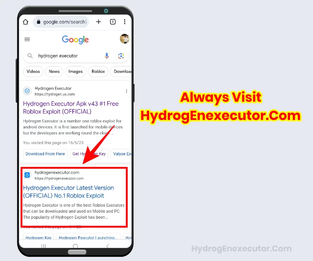 search Hydrogen Executor official site